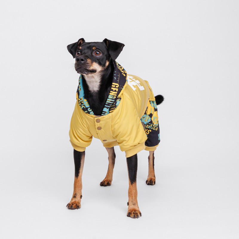 Petmax Комбинезон с капюшоном для собак, 2XL, желтый