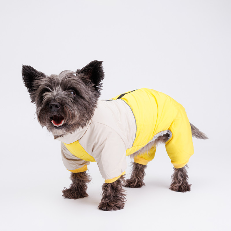 Petmax Комбинезон с диагональным замком для собак, XL, желтый