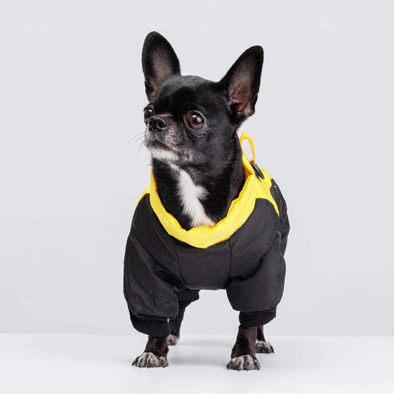 Petmax Комбинезон для собак, XS, желто-черный