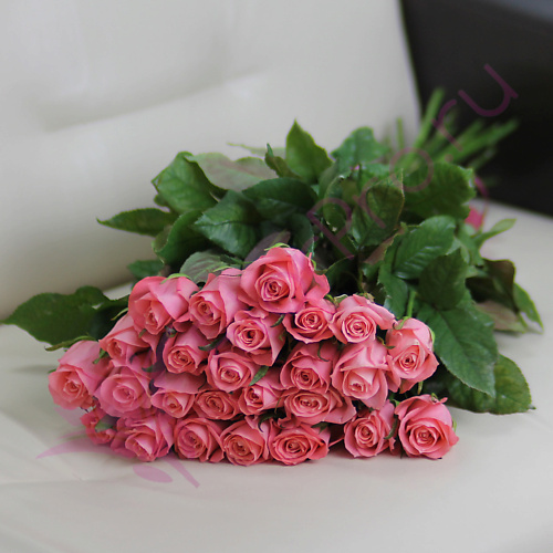 FLORPRO 25 розовых роз Анна Карина 60 см