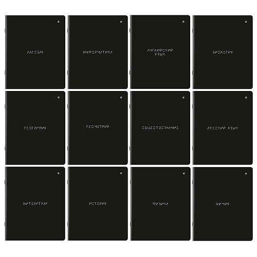 BRAUBERG Тетради предметные комплект MINIMAL