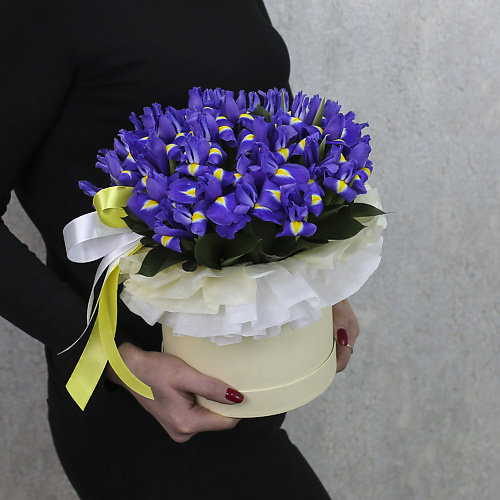 FLORPRO Коробка из 25 синих ирисов "Глория"