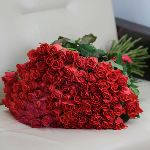 FLORPRO 101 коралловая роза Вау 60 см