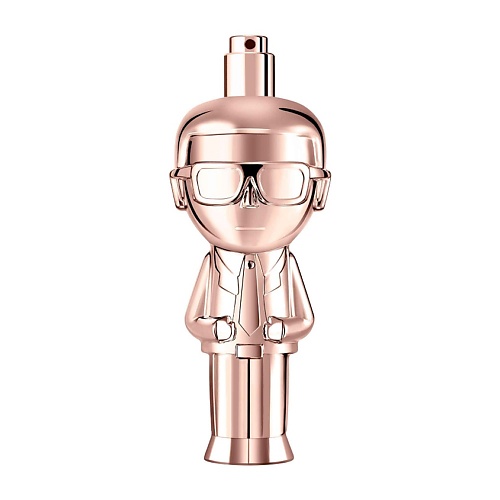 KARL LAGERFELD Ikonik Pour Femme 100