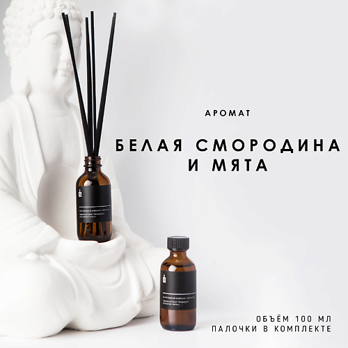 BANKA HOME Ароматический диффузор "Белая смородина и мята" 100.0