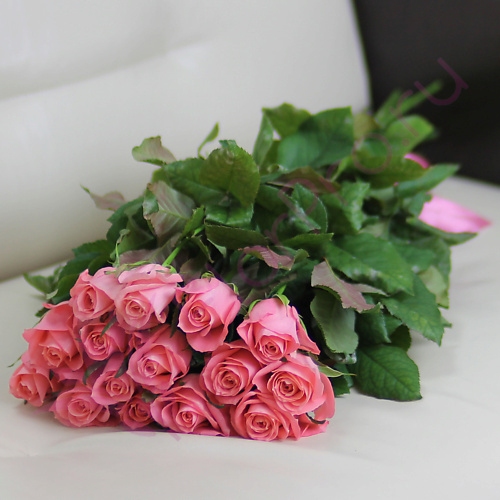 FLORPRO 15 розовых роз Анна Карина 40 см