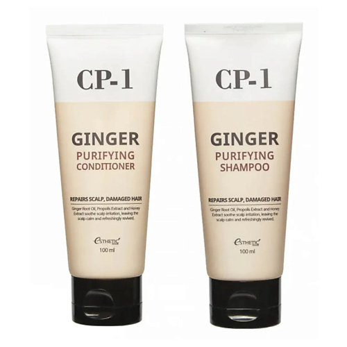 ESTHETIC HOUSE Набор для ухода за волосами шампунь и кондиционер CP-1 Ginger Purifying