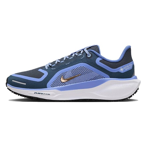 NIKE Кроссовки для бега Air Zoom Pegasus 41 Gore-Tex