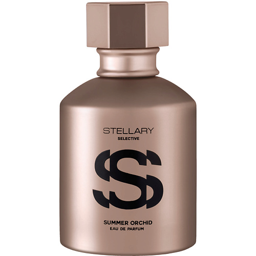 STELLARY Summer Orchid 50