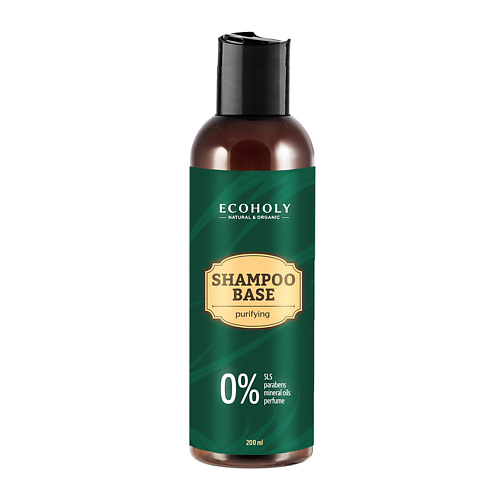 ECOHOLY Шампунь для волос бессульфатный очищающий Shampoo Base Purifying
