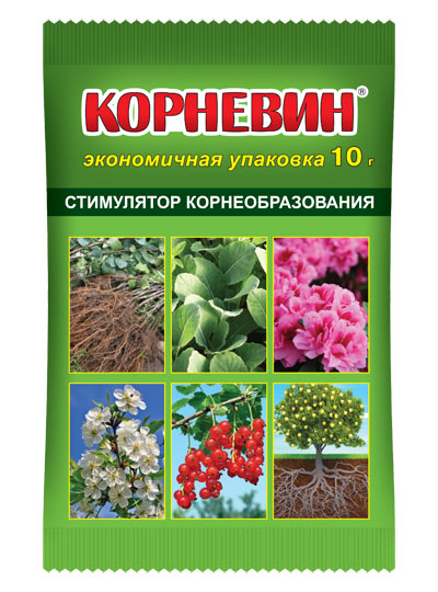 Корневин, стимулятор корнеобразования 10 г