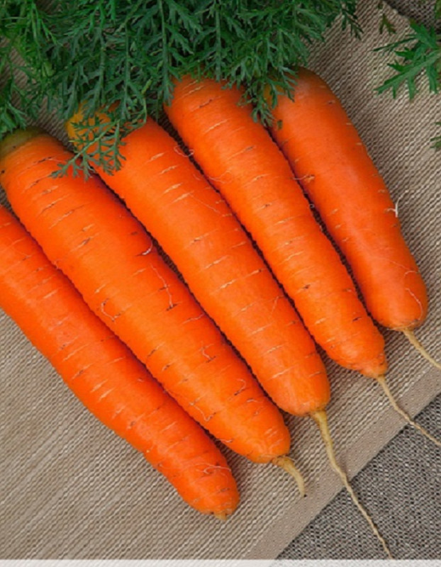 Морковь Детская сладость (Гранулы)  300 шт