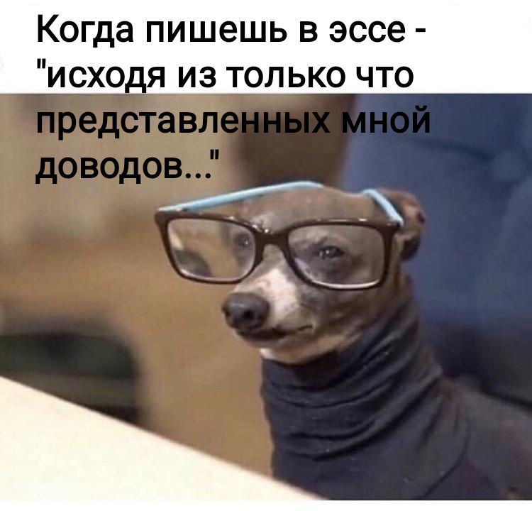 Эссе