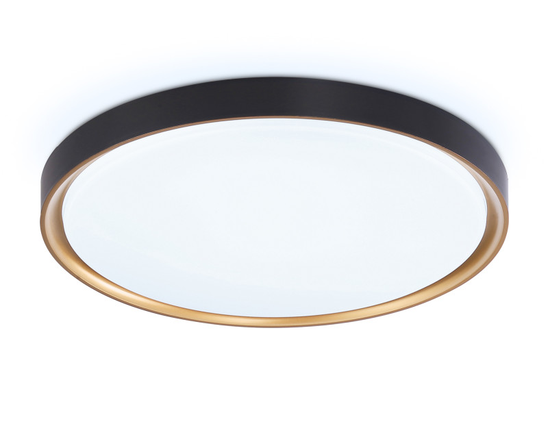 Накладной светильник Ambrella Light FZ1249