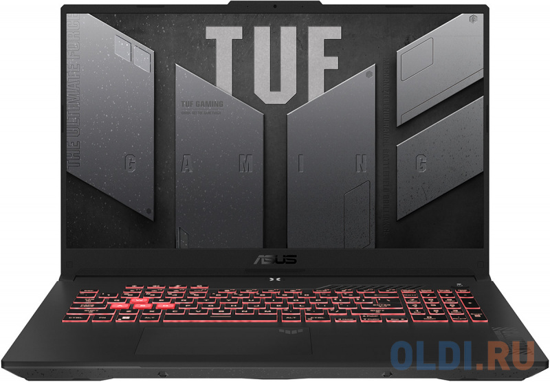 Ноутбук ASUS TUF Gaming A17 FA707NV-HX079 90NR0E35-M004F0 17.3"