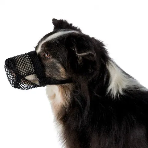 Trixie Намордник для собак от отравленных приманок, XS-S, обхват морды 15 см