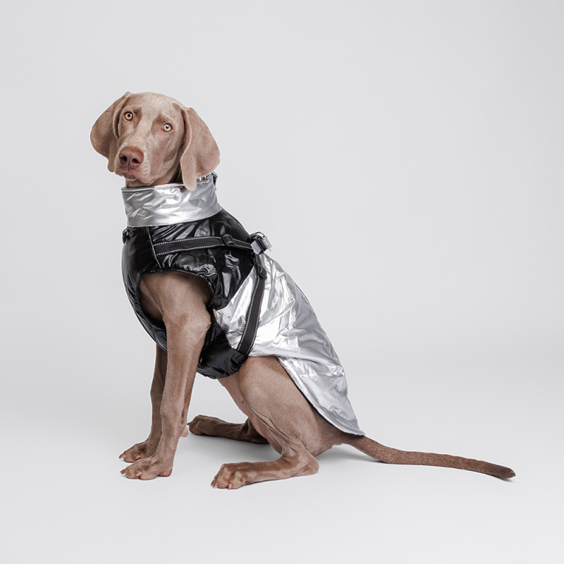 Rungo Куртка-жилетка со шлейкой для собак, 4XL, серебряная
