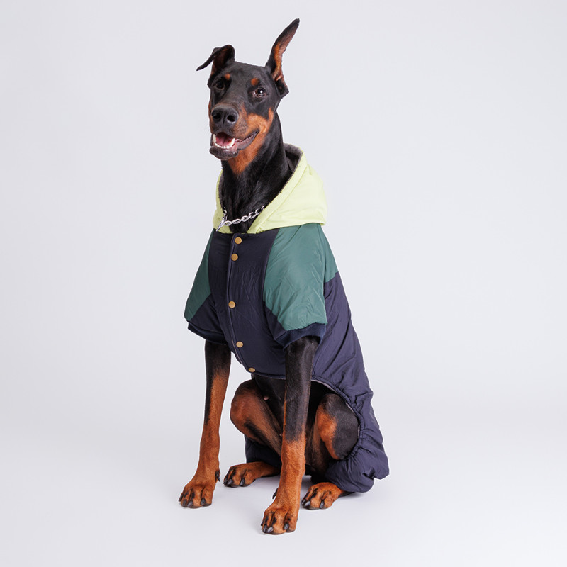 Petmax Комбинезон с капюшоном для собак, 3XL, сине-зеленый