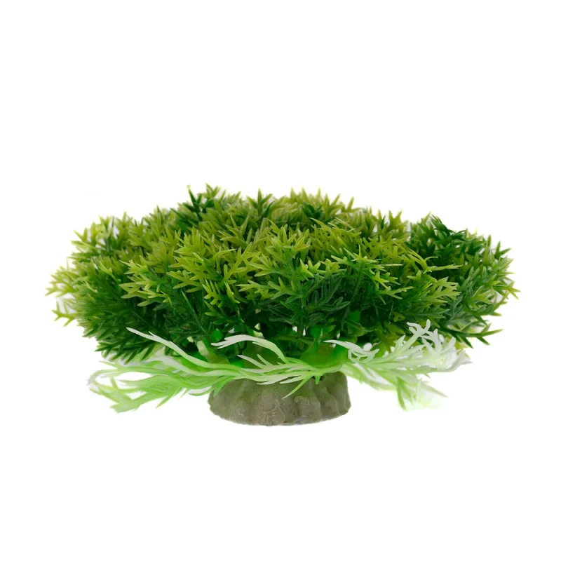 AquaFantasy Растение зеленое 10*10*4см 090038B