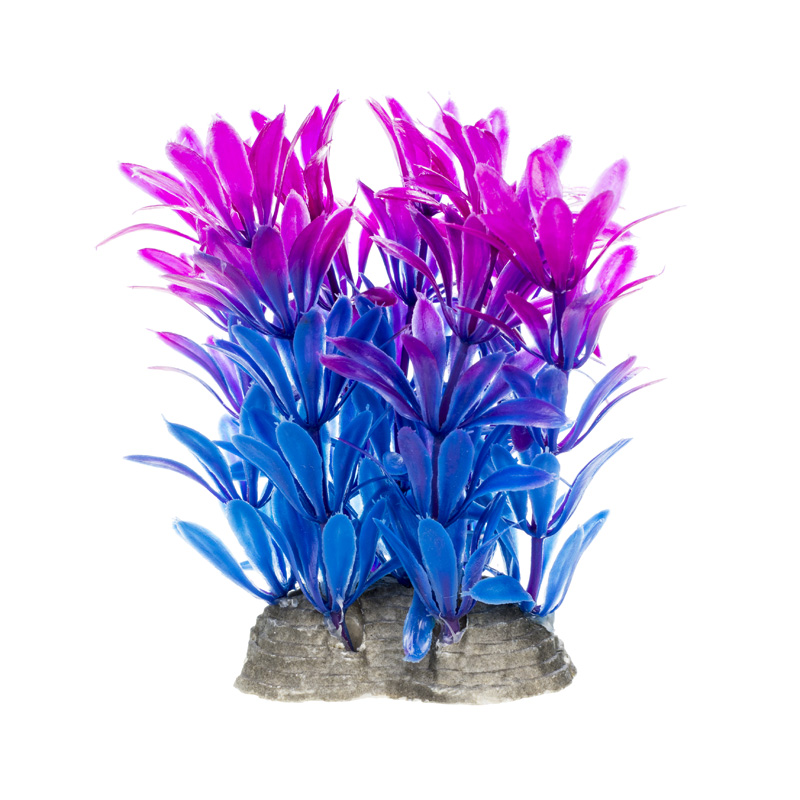 AquaFantasy Растение фиолетовое 6?5?10см