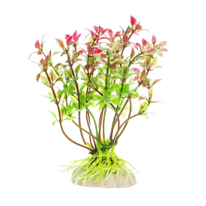 AquaFantasy Растение красно-зеленое 10см