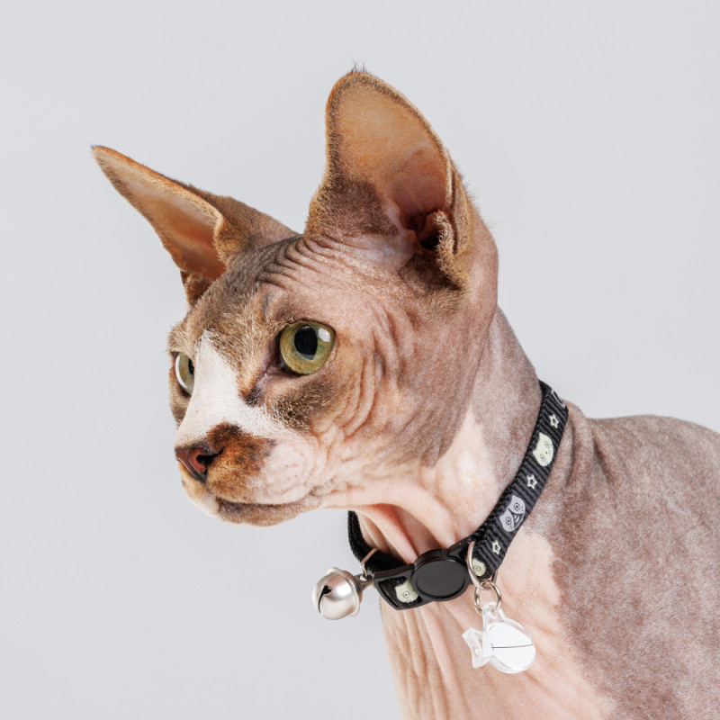 Petmax Ошейник нейлоновый со светоотражающим адресником для кошек, 1х30 см, черный