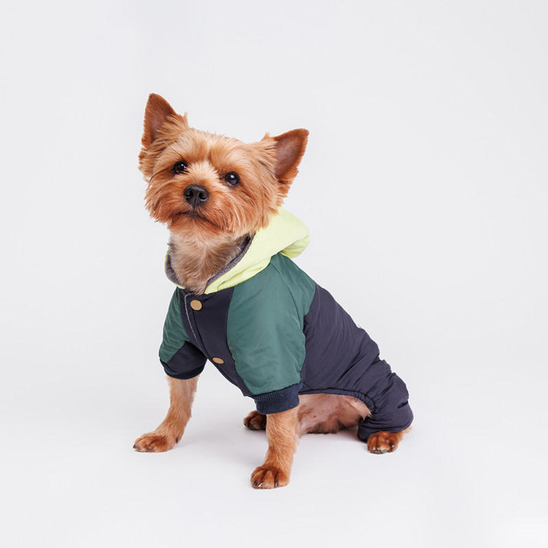 Petmax Комбинезон с капюшоном для собак, M, сине-зеленый