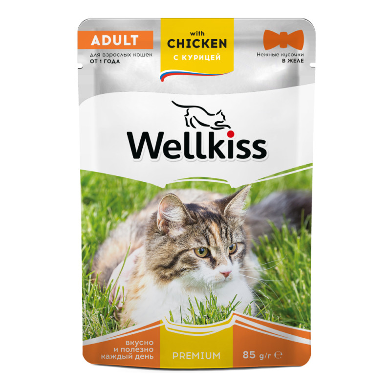 Wellkiss Adult Влажный корм (пауч) для взрослых кошек, с курицей в желе, 85 гр.