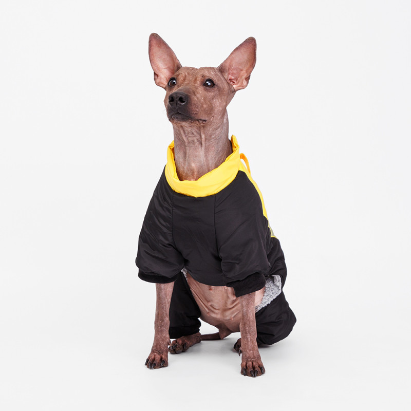 Petmax Комбинезон для собак, L, желто-черный