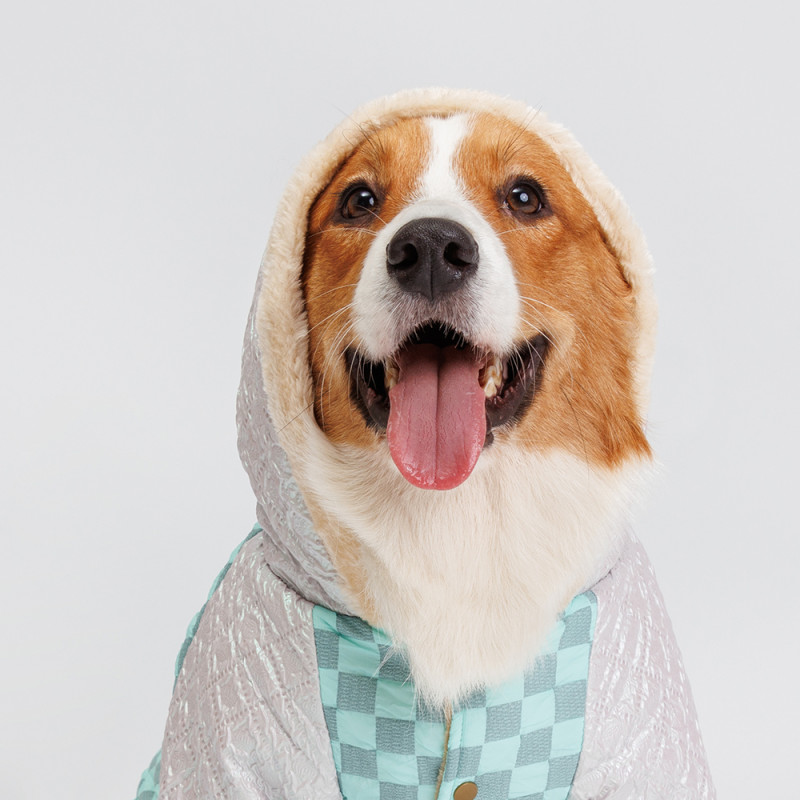 Petmax Комбинезон с капюшоном для собак, 4XL, бирюзовый (девочка)