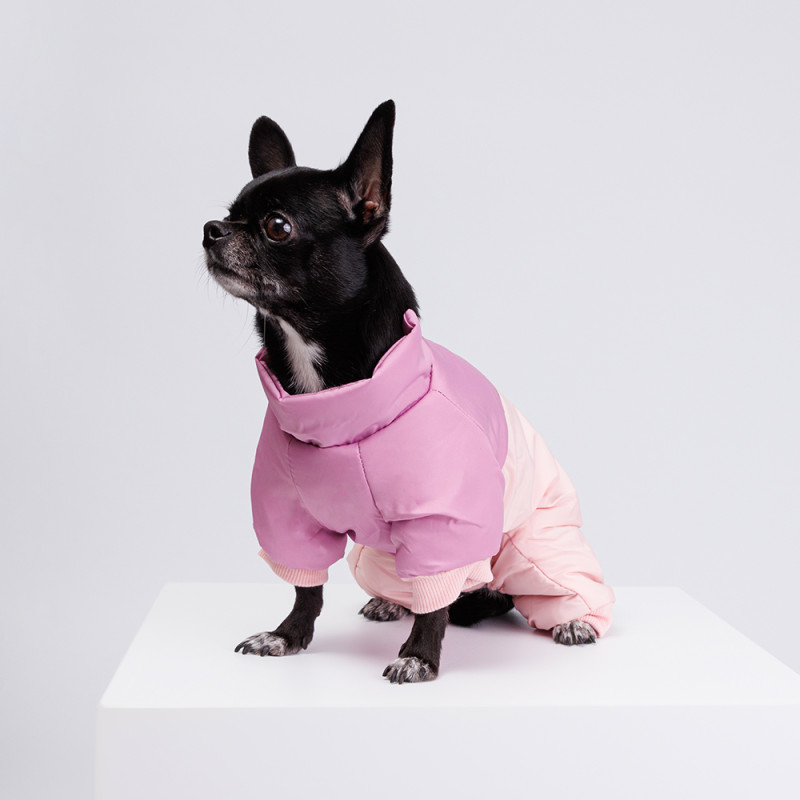 Petmax Комбинезон с диагональным замком для собак, S, розовый (девочка)