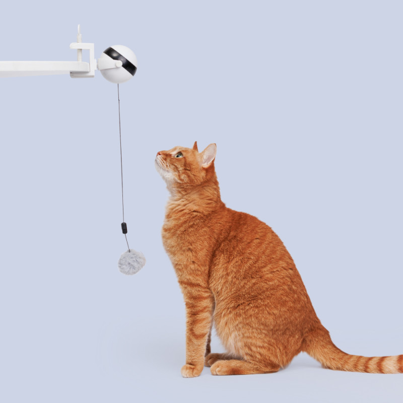 HiPet Игрушка-дразнилка для кошек Интерактивный мячик, 12х8,5х7,5 см, длина веревки с мячиком 57 см