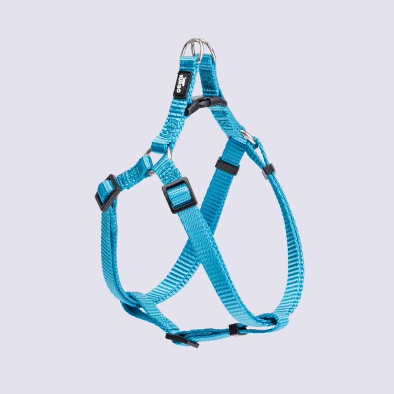 Rungo Шлейка для собак нейлоновая Step-in, обхват груди 35-53 см, ширина 10 мм, голубая