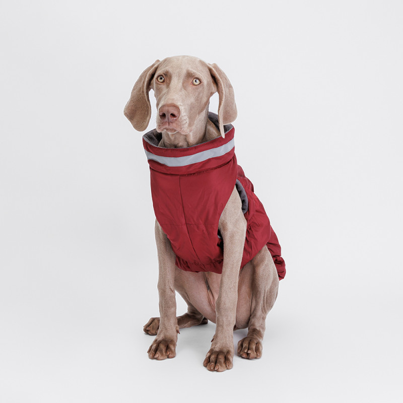 Rurri Куртка на молнии для собак, 6XL, бордовая
