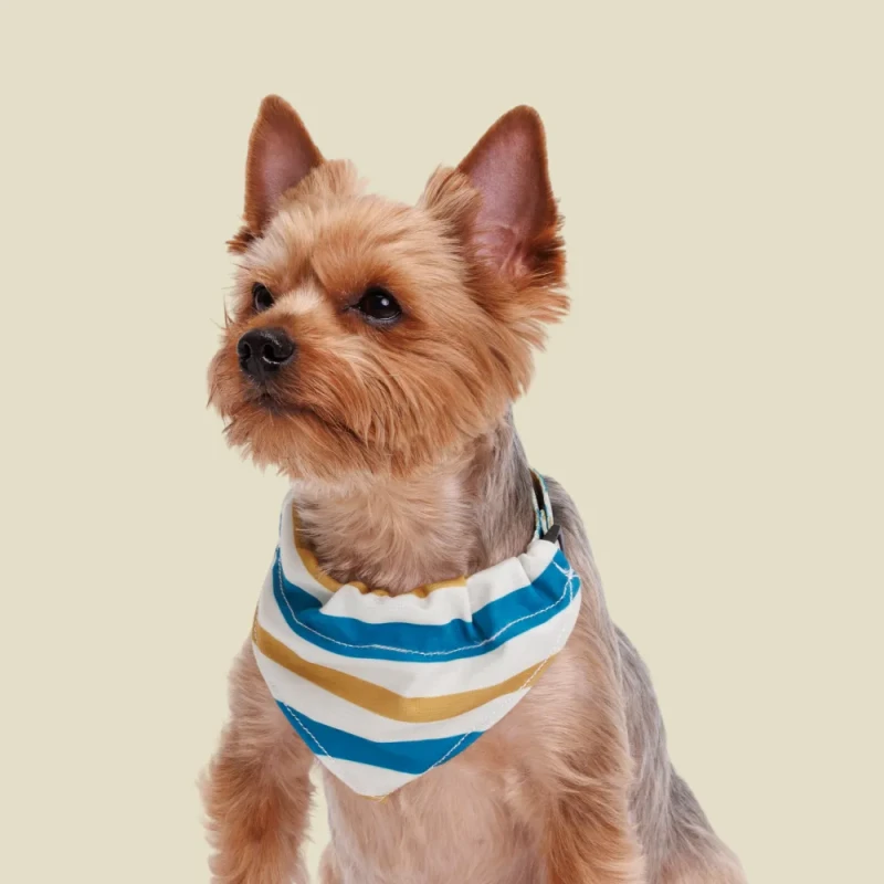 Rurri Ошейник-бандана для собак Аквамарин, S, обхват шеи 30-45 см, ширина 1,6 см, песочно-синяя