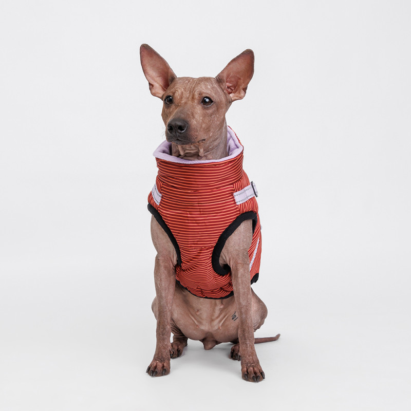 Rungo Попона теплая со шлейкой для собак, L, красная