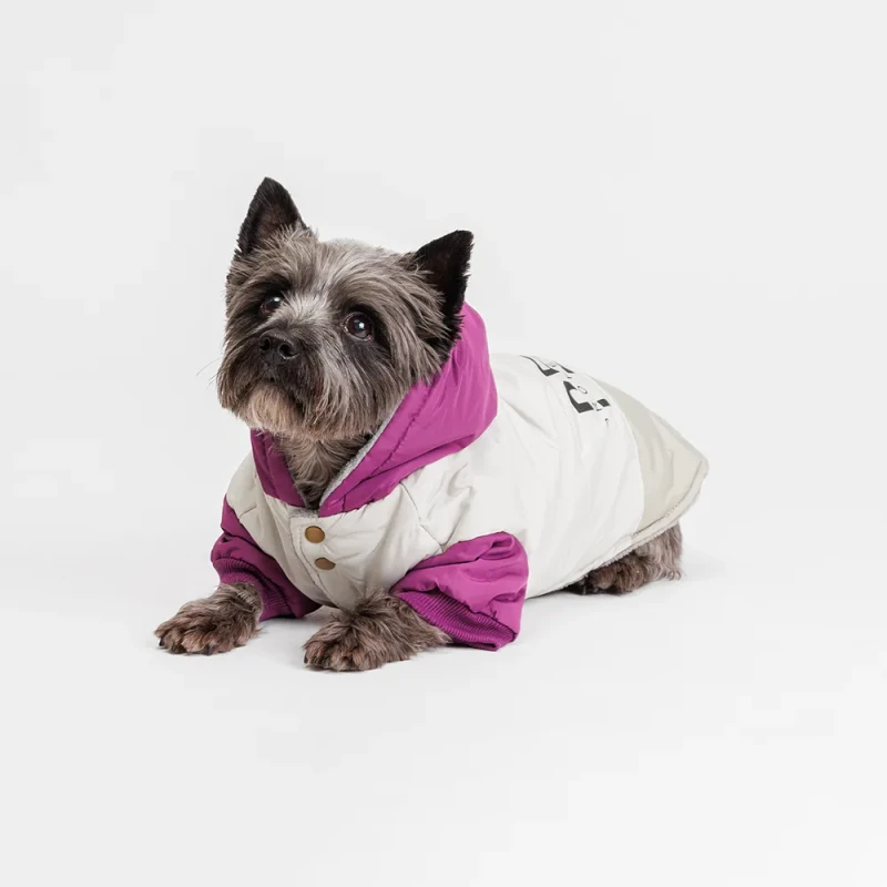 Petmax Куртка с капюшоном для собак, 2XL, серо-фиолетовая