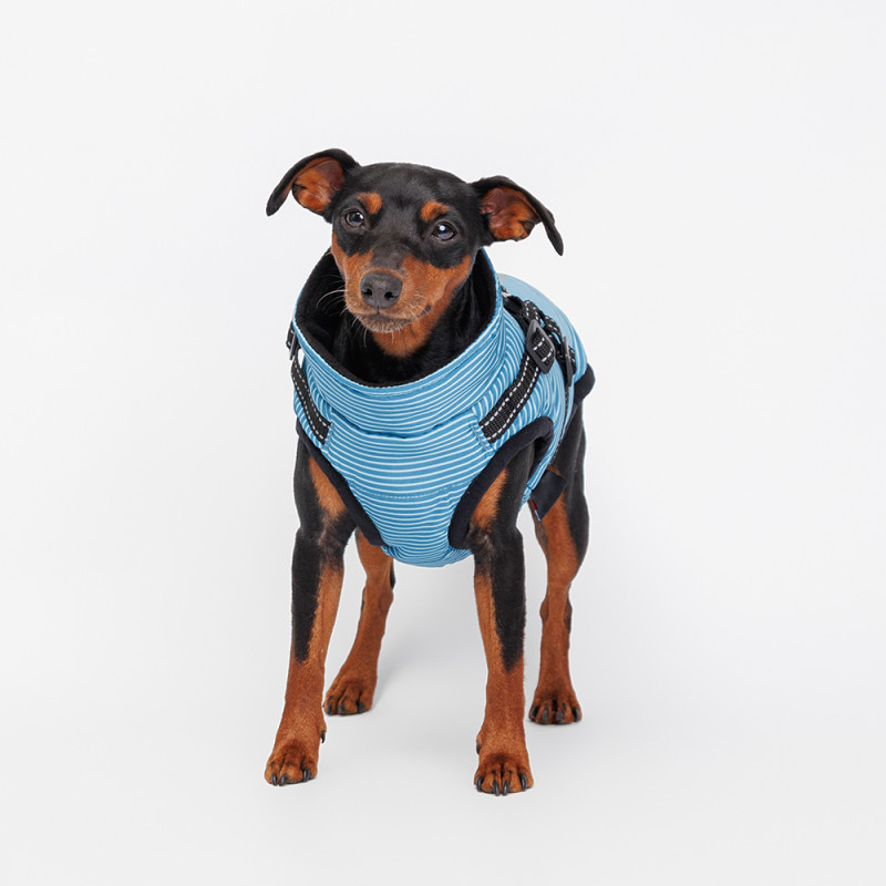 Rungo Попона теплая со шлейкой для собак, S, синяя