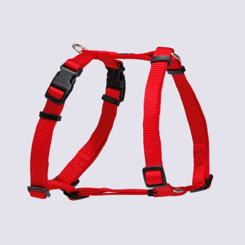Rungo Шлейка для собак нейлоновая для собак Vario, обхват груди 48-70 см, ширина 20 мм, красная