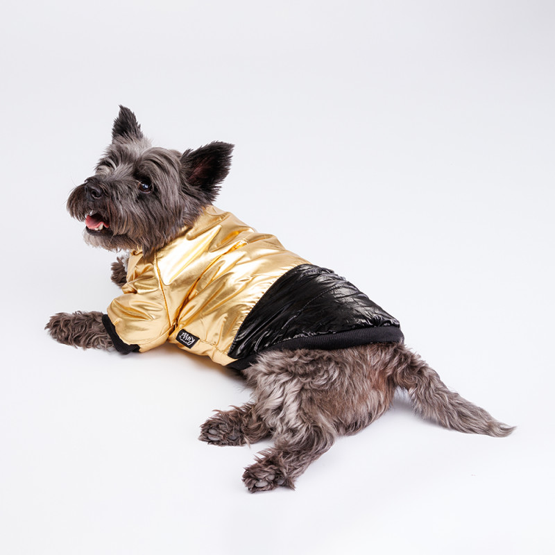 Rurri Куртка для собак, M, золотая