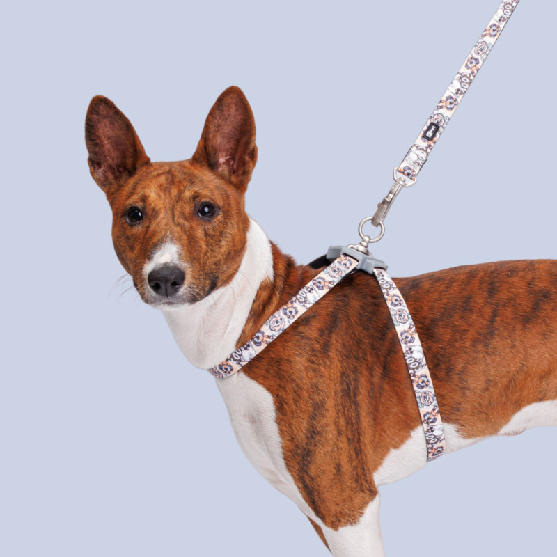 HiPet Шлейка с поводком для собак, обхват груди 30-50 см, ширина поводка 1,5 см, хаки