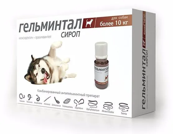 Гельминтал Противопаразитарный сироп для собак более 10 кг, 10 мл