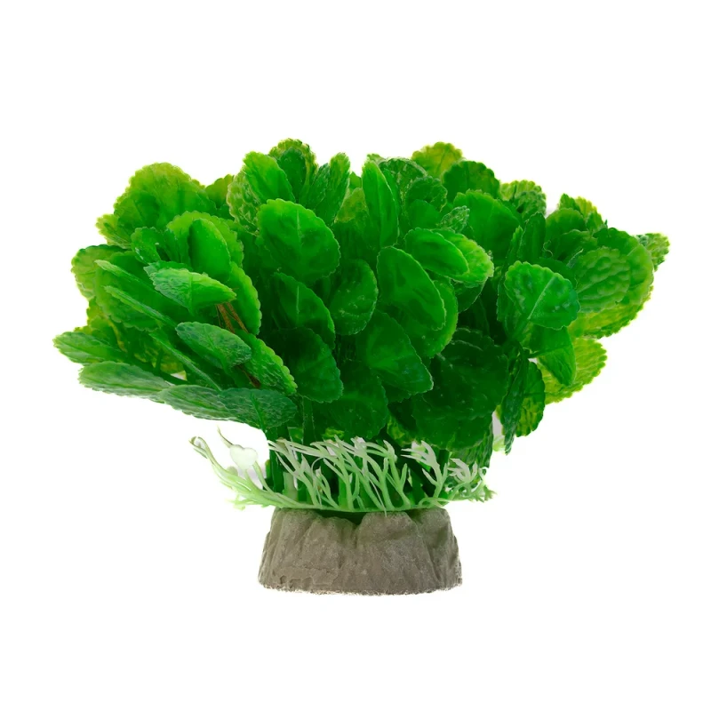AquaFantasy Растение зеленое 10*10*12см 092-056B