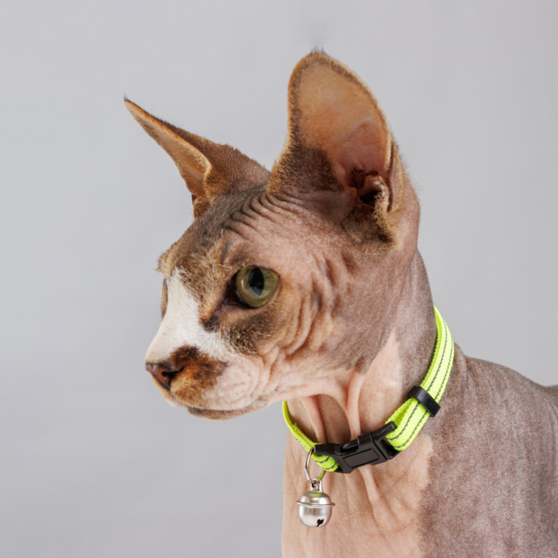 Petmax Ошейник нейлоновый светоотражающий с колокольчиком для кошек, 1х30 см, желтый