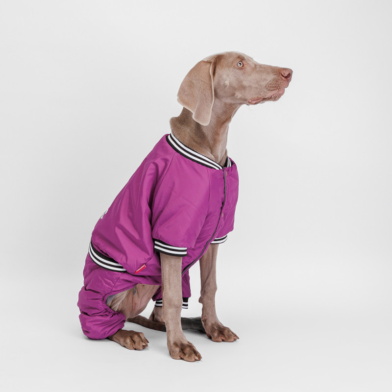 Petmax Комбинезон для собак Комикс, 4ХL, фиолетовый (девочка)