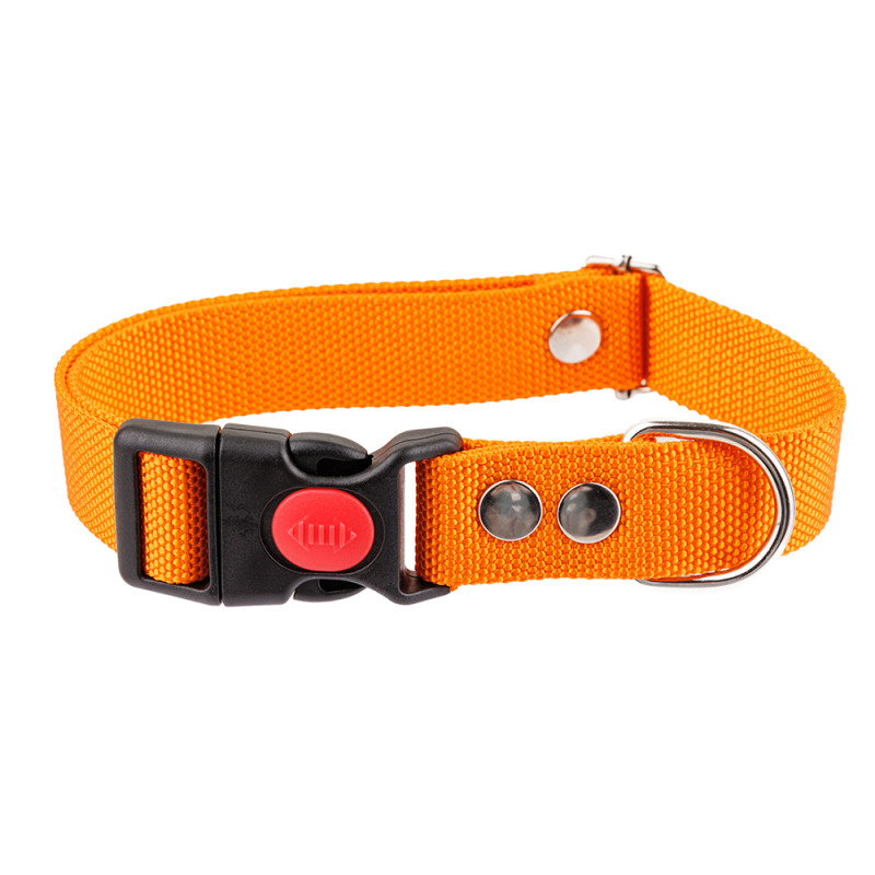 Rungo Ошейник для собак нейлоновый светящийся, XL, обхват шеи 40-65 см, ширина 2,5 см, оранжевый