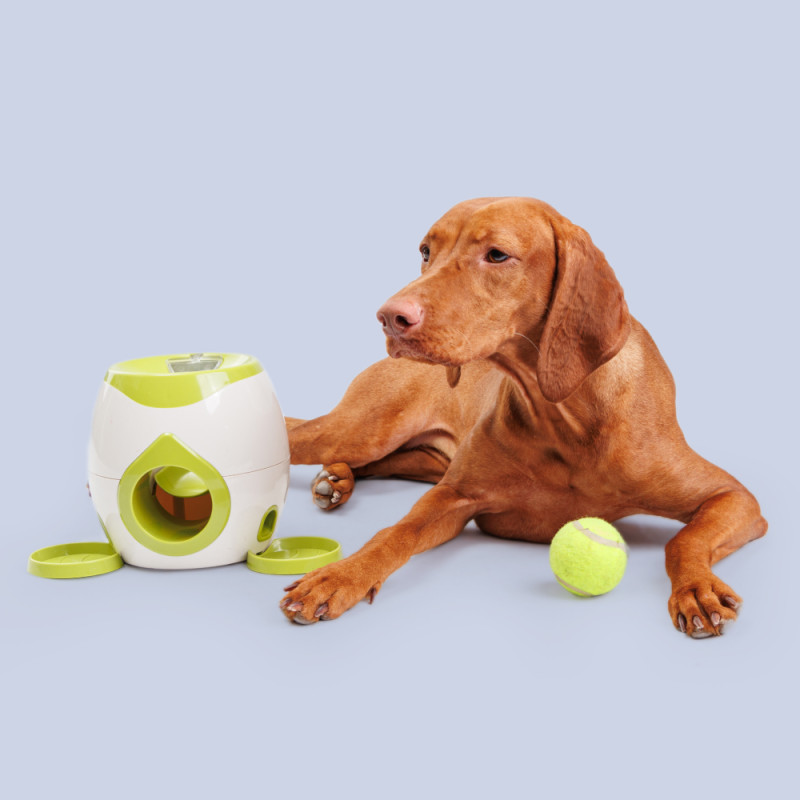 HiPet Игрушка интерактивная для собак Fetch and Treat, 29,5х191х8 см