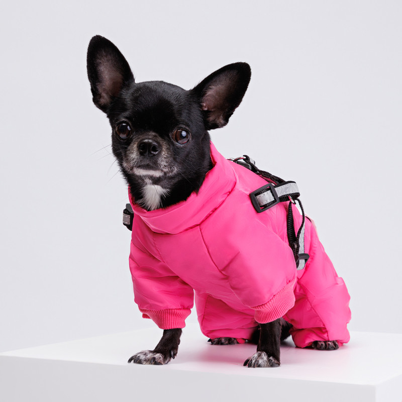 Petmax Комбинезон со шлейкой для собак, XS, розовый (девочка)