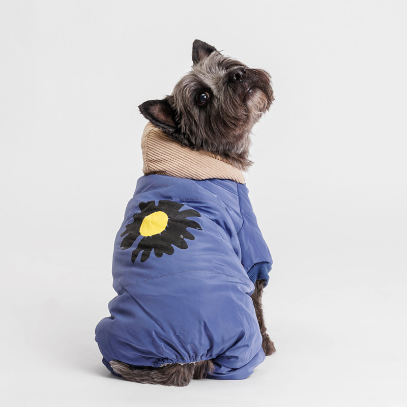 Petmax Комбинезон с цветочком для собак, 2XL, голубой (девочка)