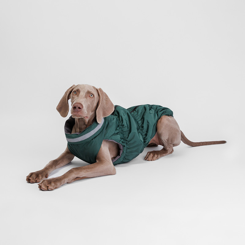 Rurri Куртка на молнии для собак, 5XL, зеленая